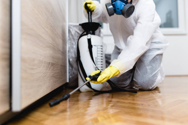 Best Affordable Pest Control Services  in Beach, ND