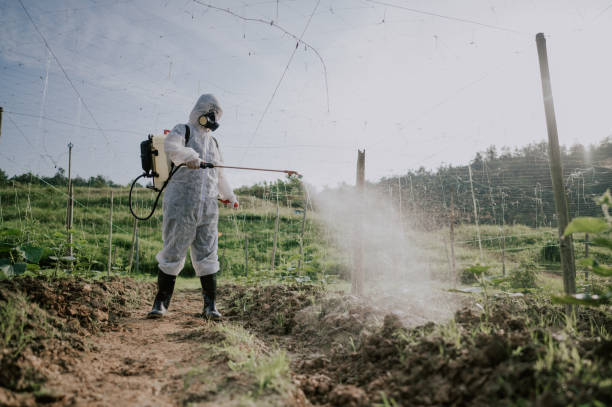 Best Pest Control Cost  in Beach, ND