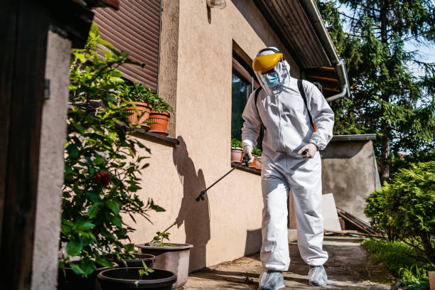 Best Pest Prevention Services  in Beach, ND